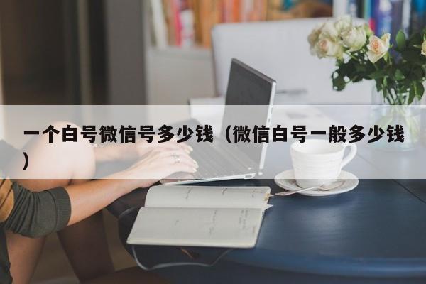 一个白号微信号多少钱（微信白号一般多少钱）