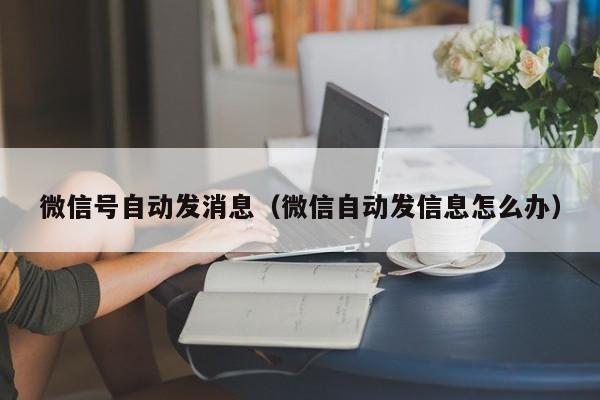 微信号自动发消息（微信自动发信息怎么办）