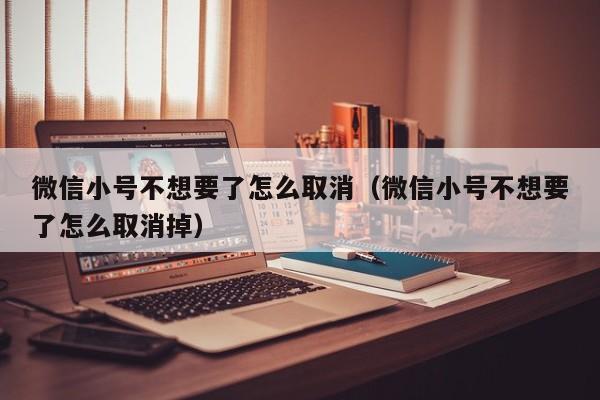 微信小号不想要了怎么取消（微信小号不想要了怎么取消掉）