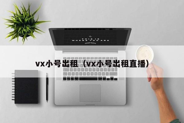 vx小号出租（vx小号出租直播）