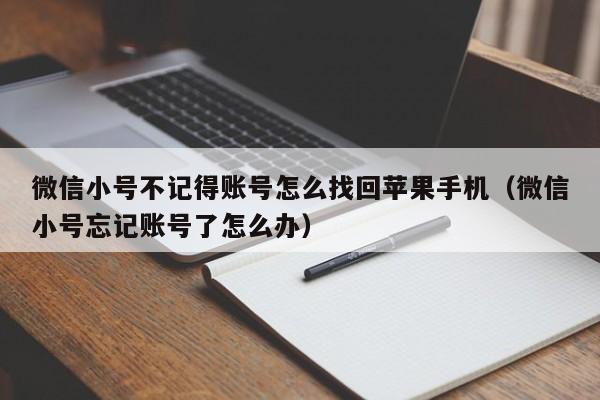 微信小号不记得账号怎么找回苹果手机（微信小号忘记账号了怎么办）