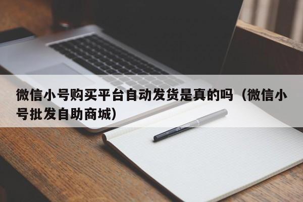 微信小号购买平台自动发货是真的吗（微信小号批发自助商城）