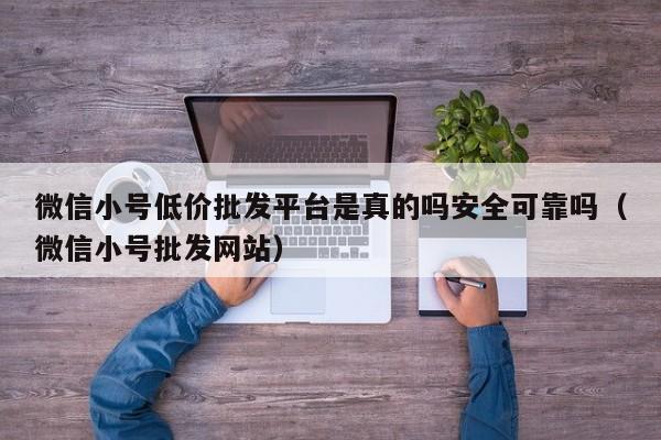 微信小号低价批发平台是真的吗安全可靠吗（微信小号批发网站）