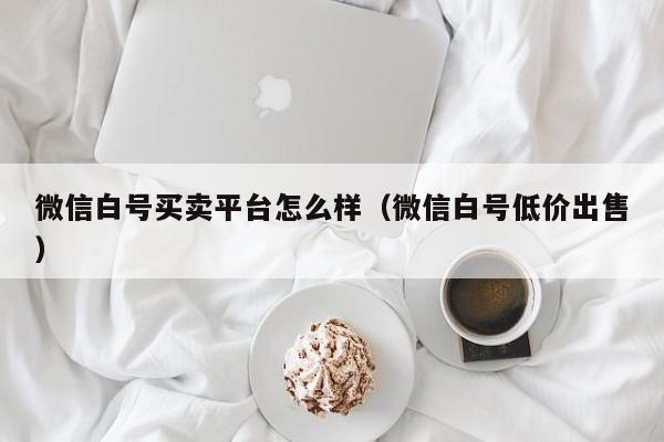 微信白号买卖平台怎么样（微信白号低价出售）