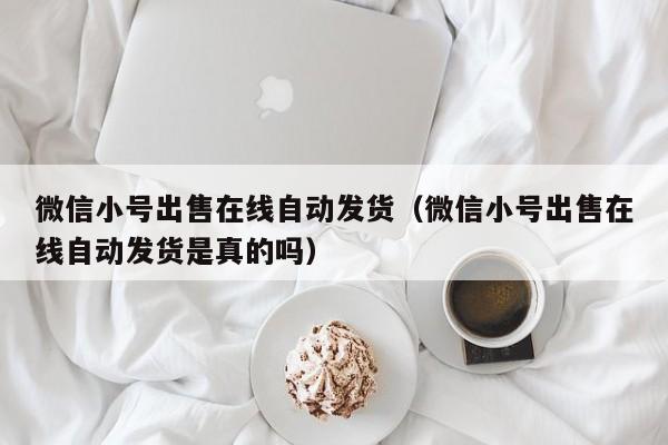 微信小号出售在线自动发货（微信小号出售在线自动发货是真的吗）