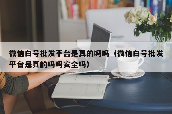 微信白号批发平台是真的吗吗（微信白号批发平台是真的吗吗安全吗）