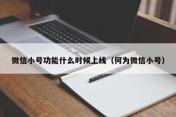 微信小号功能什么时候上线（何为微信小号）