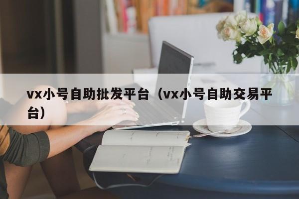 vx小号自助批发平台（vx小号自助交易平台）