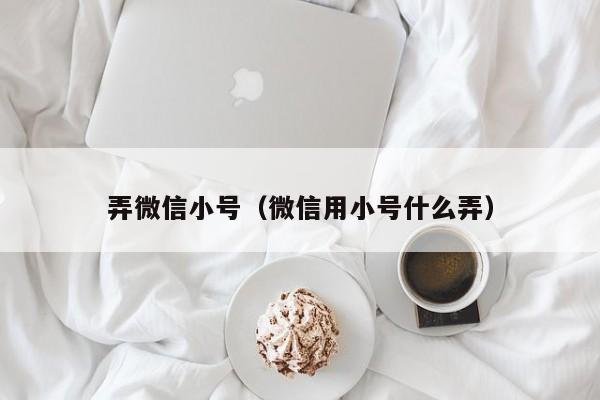 弄微信小号（微信用小号什么弄）