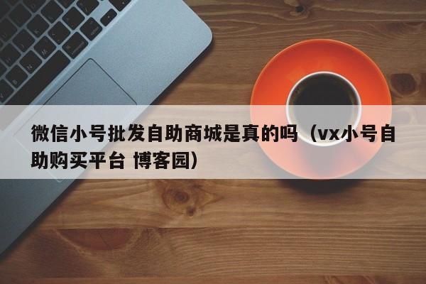 微信小号批发自助商城是真的吗（vx小号自助购买平台 博客园）