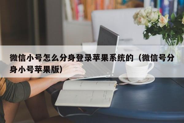 微信小号怎么分身登录苹果系统的（微信号分身小号苹果版）