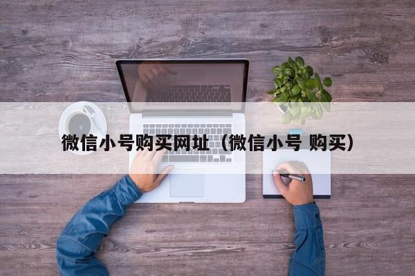 微信小号购买网址（微信小号 购买）