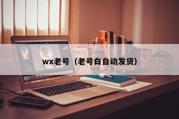 wx老号（老号白自动发货）