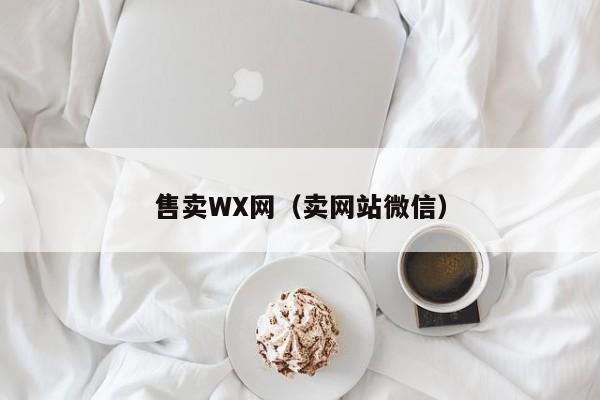 售卖WX网（卖网站微信）