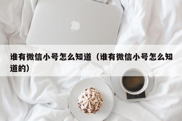 谁有微信小号怎么知道（谁有微信小号怎么知道的）