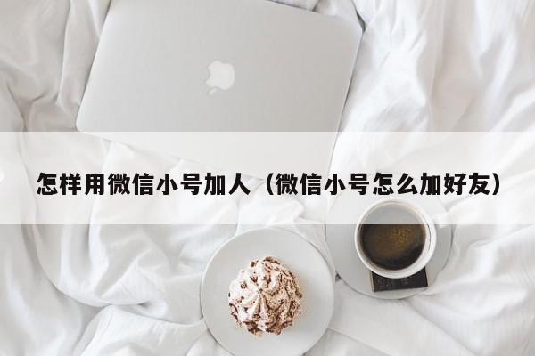 怎样用微信小号加人（微信小号怎么加好友）