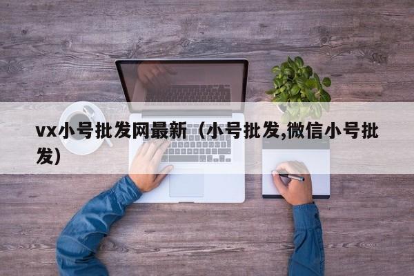 vx小号批发网最新（小号批发,微信小号批发）