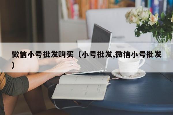 微信小号批发购买（小号批发,微信小号批发）