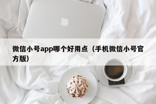 微信小号app哪个好用点（手机微信小号官方版）