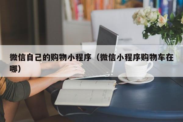 微信自己的购物小程序（微信小程序购物车在哪）