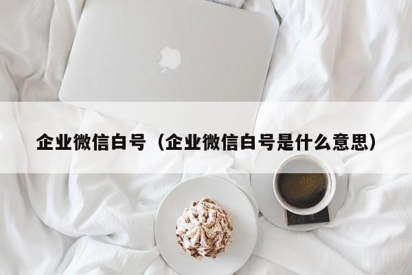 企业微信白号（企业微信白号是什么意思）