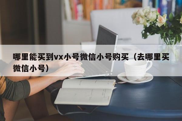 哪里能买到vx小号微信小号购买（去哪里买微信小号）