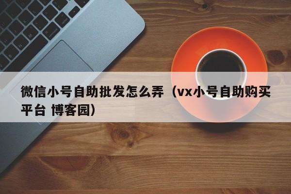 微信小号自助批发怎么弄（vx小号自助购买平台 博客园）
