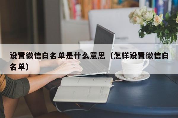 设置微信白名单是什么意思（怎样设置微信白名单）