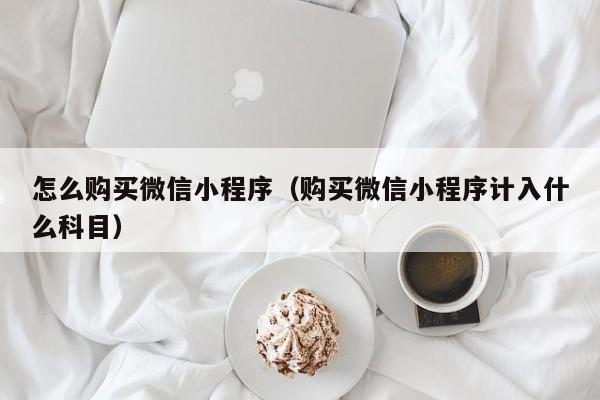 怎么购买微信小程序（购买微信小程序计入什么科目）