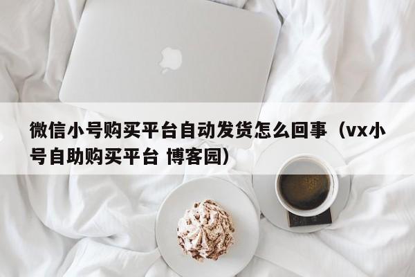 微信小号购买平台自动发货怎么回事（vx小号自助购买平台 博客园）