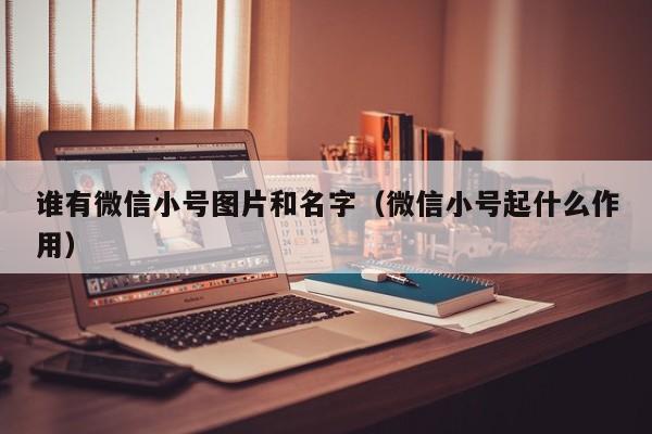 谁有微信小号图片和名字（微信小号起什么作用）