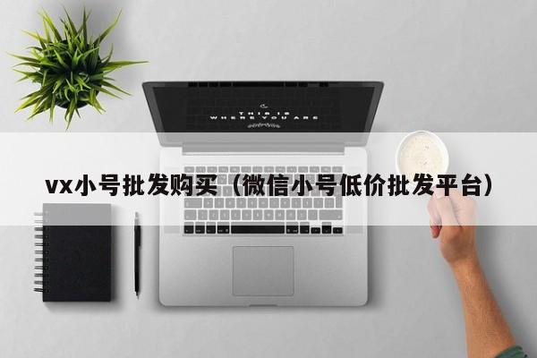 vx小号批发购买（微信小号低价批发平台）