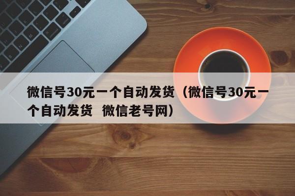 微信号30元一个自动发货（微信号30元一个自动发货  微信老号网）