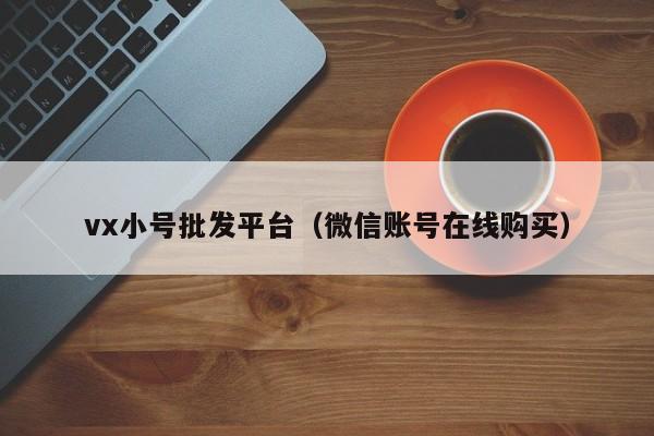 vx小号批发平台（微信账号在线购买）