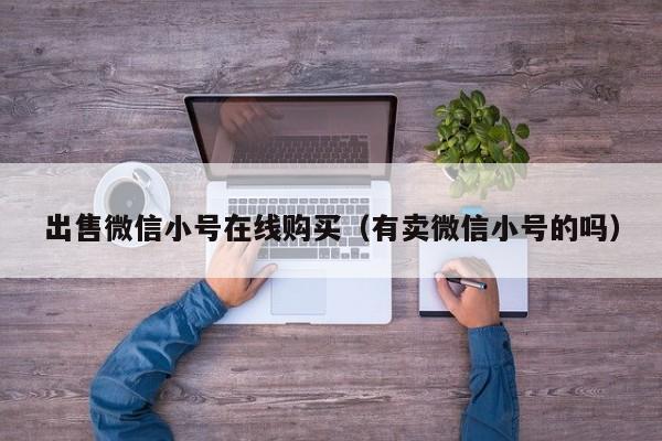 出售微信小号在线购买（有卖微信小号的吗）