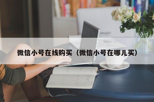 微信小号在线购买（微信小号在哪儿买）