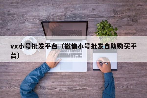 vx小号批发平台（微信小号批发自助购买平台）