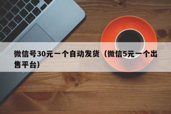 微信号30元一个自动发货（微信5元一个出售平台）