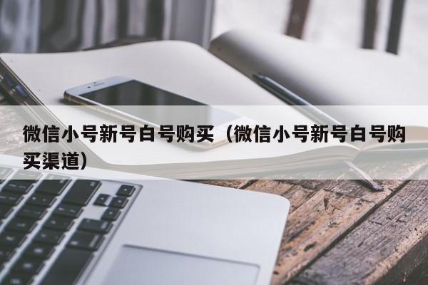 微信小号新号白号购买（微信小号新号白号购买渠道）