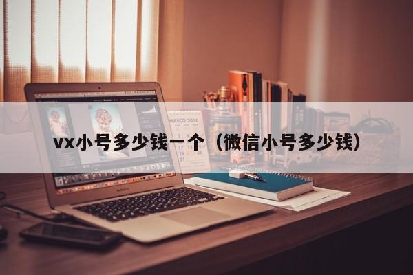 vx小号多少钱一个（微信小号多少钱）