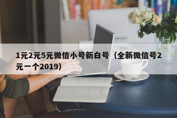 1元2元5元微信小号新白号（全新微信号2元一个2019）