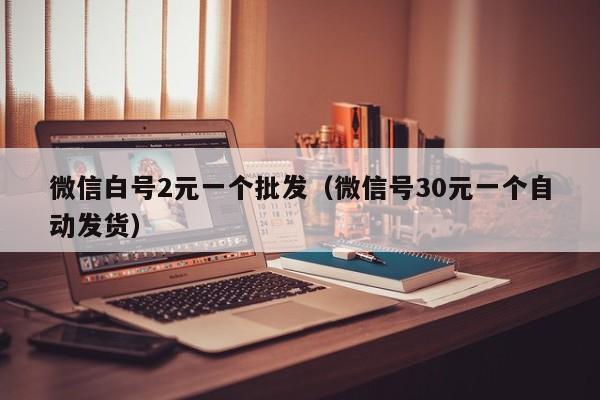 微信白号2元一个批发（微信号30元一个自动发货）