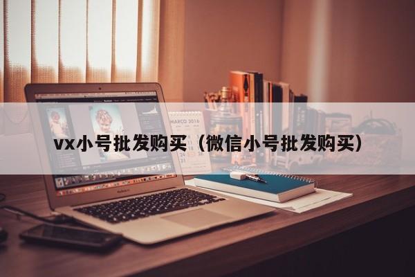vx小号批发购买（微信小号批发购买）