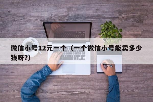 微信小号12元一个（一个微信小号能卖多少钱呀?）
