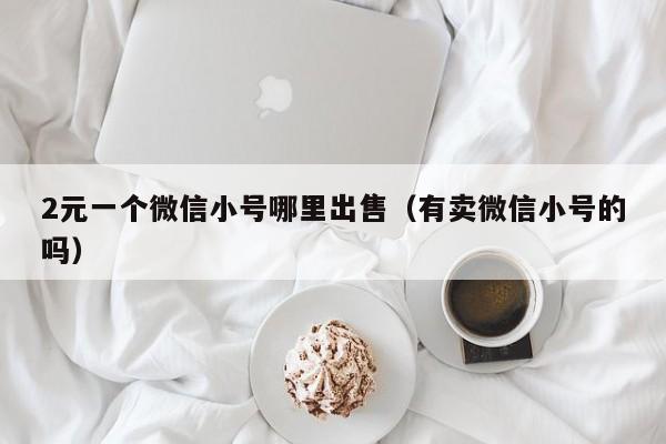 2元一个微信小号哪里出售（有卖微信小号的吗）