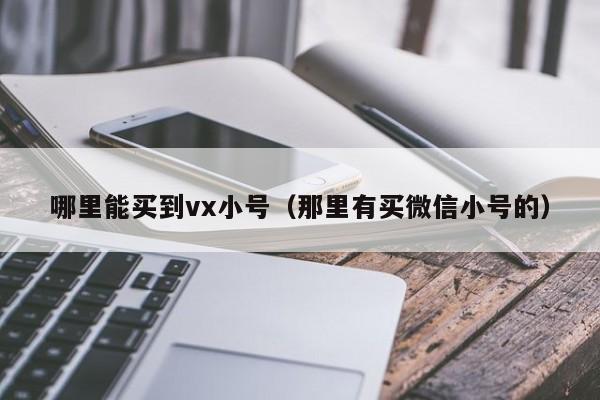 哪里能买到vx小号（那里有买微信小号的）