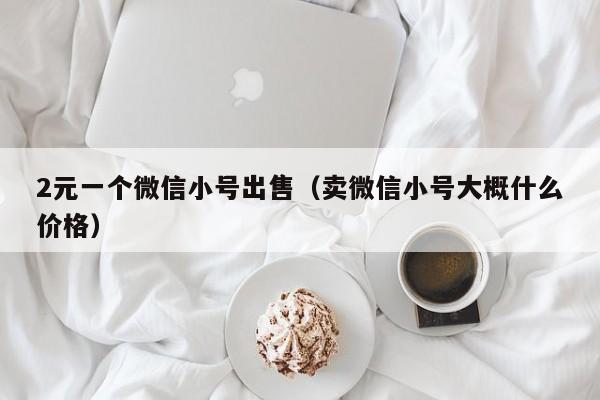 2元一个微信小号出售（卖微信小号大概什么价格）