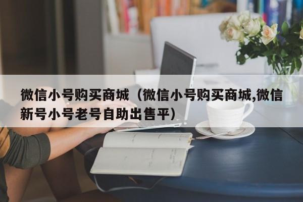 微信小号购买商城（微信小号购买商城,微信新号小号老号自助出售平）