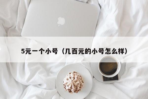 5元一个小号（几百元的小号怎么样）