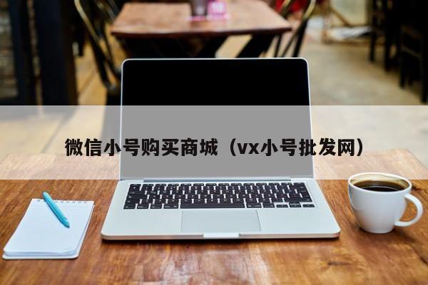 微信小号购买商城（vx小号批发网）